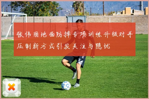 张伟丽地面防摔专项训练升级对手压制新方式引发关注与隐忧